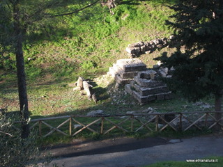 tapiccola-13-01-2013 09-43-24